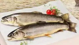 Interspar Kulmer Fisch Bachsaibling Angebot