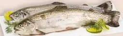 Interspar Kulmer Fisch Regenbogenforelle Angebot