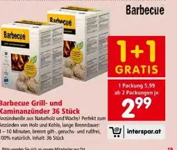 Interspar Barbecue Grill-Kaminanzünder Angebot