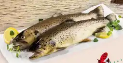 Interspar Fischzucht Maier Bachforellenfilet Angebot