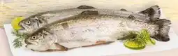 Interspar Fischzucht Gut Dornau Regenbogenforelle Angebot