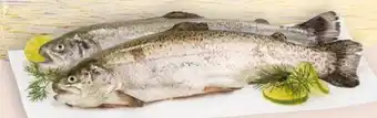 Interspar Fischzucht Gut Dornau Regenbogenforelle Angebot