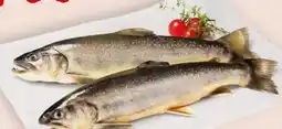 Interspar Fischzucht Gut Dornau Bachsaibling Angebot