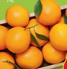 Hofer Hofer Marktplatz Orangen Angebot