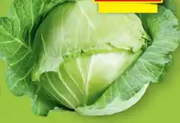 Hofer Hofer Marktplatz Kraut Angebot