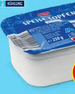 Hofer Milfina Speisetopfen Angebot