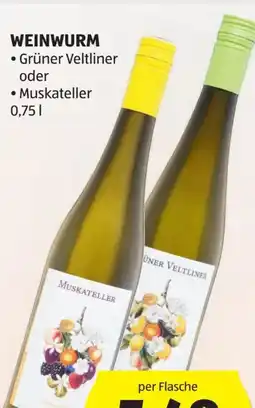 Hofer Weinwurms Grüner Veltliner Angebot