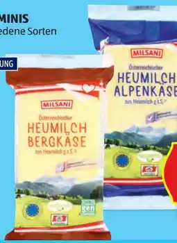 Hofer Milsani Käse Minis Angebot