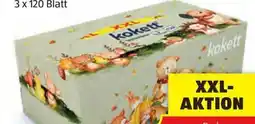 Hofer Kokett Taschentücher Angebot