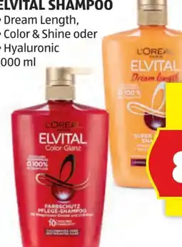 Hofer L'Oréal Paris Elvital Shampoo Angebot