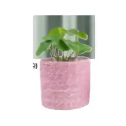 Mömax Kunstpflanze „PILEABUSCH“ 4536120301 mömax Angebot