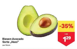 MPreis Riesen-avocado sorte hass Angebot