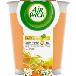 dm Duftkerze Citrus dm Angebot