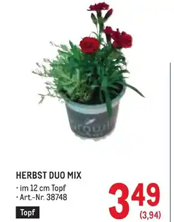 Metro Herbst duo mix Angebot