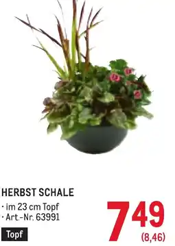 Metro Herbst schale Angebot