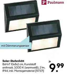 Hellweg Paulmann LED-Solar-Stufenlicht grau Angebot