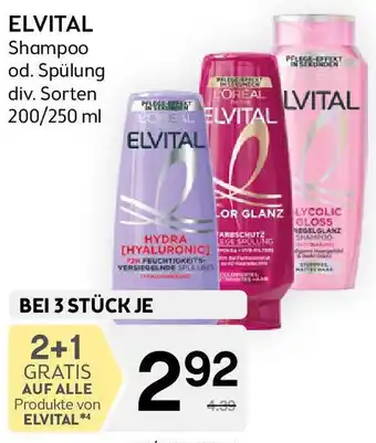 Bipa Elvital shampoo od. Spülung Angebot