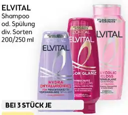 Bipa ELVITAL Shampoo Angebot