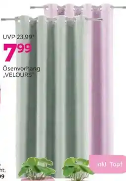 Mömax Ösenvorhang velours Angebot