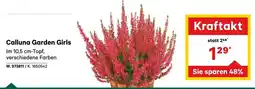 Lagerhaus Calluna Garden Girls Angebot