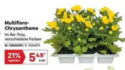 Lagerhaus Multiflora- Chrysantheme Angebot