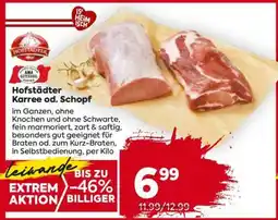 Billa Hofstädter Karree od. Schopf Angebot