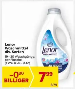 Billa Lenor Waschmittel div. Sorten Angebot