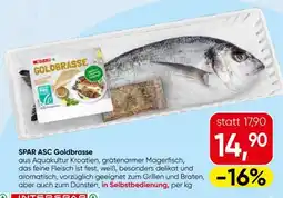 Spar SPAR ASC Goldbrasse Angebot
