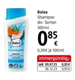 dm Balea shampoo div. sorten Angebot
