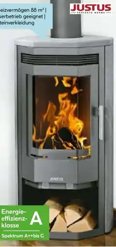 Hellweg Justus Kaminofen Usedom Angebot