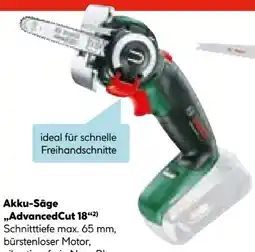 Hellweg Bosch Akku-Säbelsäge Advanced Cut 18 Angebot