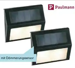 Hellweg Paulmann LED-Solar-Stufenlicht Angebot