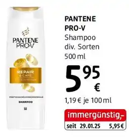 dm Pantene prov Angebot