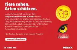 PENNY penny.at/schoenbrunn Angebot