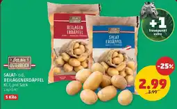 PENNY Salat beilagenerdäpfel Angebot