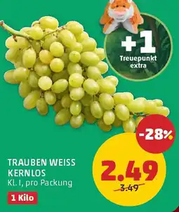 PENNY Trauben weiss kernlos Angebot