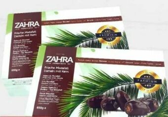 ETSAN Datteln Angebot