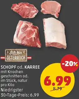 PENNY Schopf od. karree Angebot