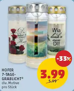 PENNY Hofer 7 tage grablicht Angebot