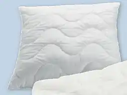 PENNY Kopfkissen Angebot