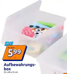 Action Aufbewahrungs- box Angebot