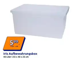 Action Iris Aufbewahrungsbox Angebot