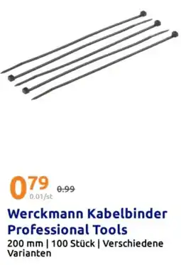 Action Werckmann Kabelbinder Professional Tools Angebot