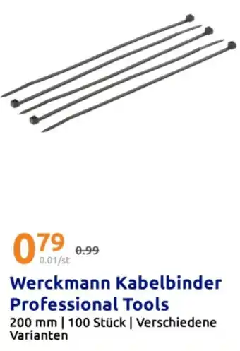 Action Werckmann Kabelbinder Professional Tools Angebot