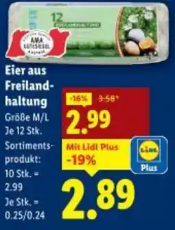 Lidl Eier aus freiland- haltung Angebot