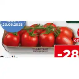 Unimarkt Ovalis Pflaumenparadeiser Unimarkt Angebot
