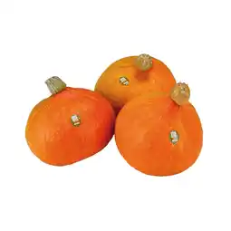 Unimarkt Bio Kürbis Hokkaido Unimarkt Angebot