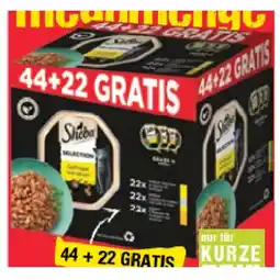 Maximarkt Katzennahrung Mega Pack Maximarkt Angebot