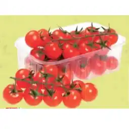 Maximarkt Bio-Cherrystrauch Bad Blumau Maximarkt Angebot
