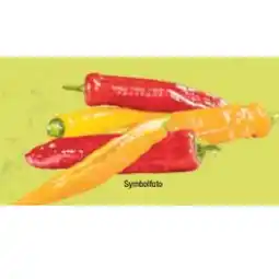 Maximarkt Bio-Spitzpaprika Maximarkt Angebot